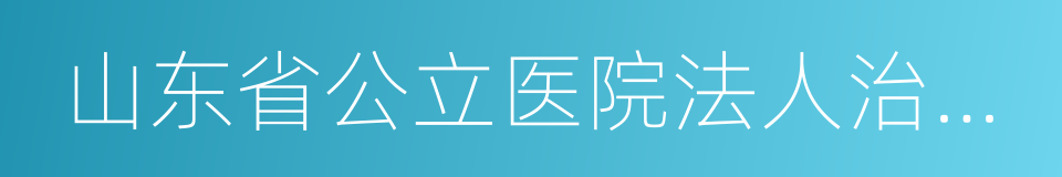 山东省公立医院法人治理结构建设实施方案的同义词