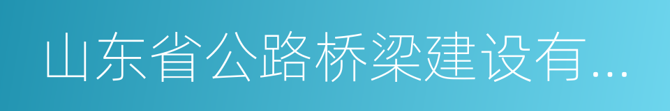 山东省公路桥梁建设有限公司的同义词