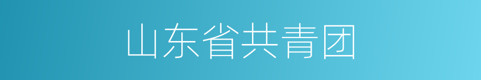 山东省共青团的同义词