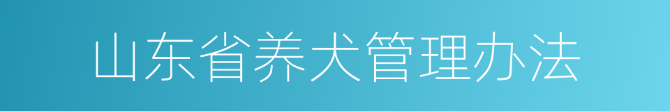 山东省养犬管理办法的同义词