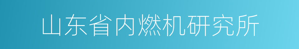 山东省内燃机研究所的同义词