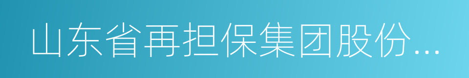 山东省再担保集团股份有限公司的同义词