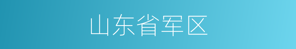 山东省军区的同义词