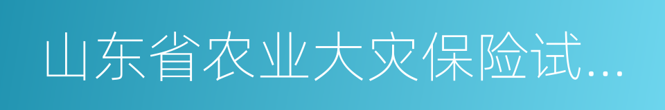 山东省农业大灾保险试点工作方案的同义词