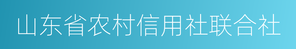 山东省农村信用社联合社的同义词