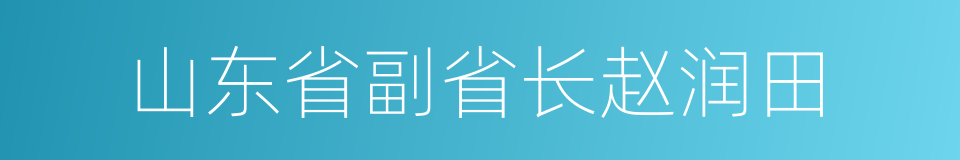 山东省副省长赵润田的同义词