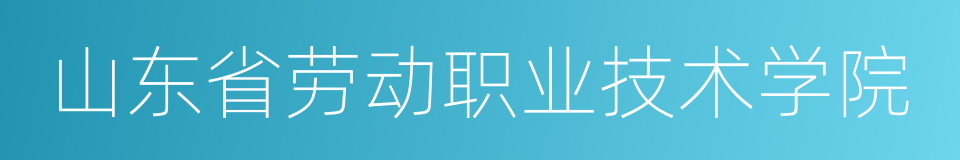 山东省劳动职业技术学院的同义词