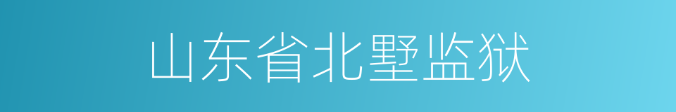 山东省北墅监狱的同义词