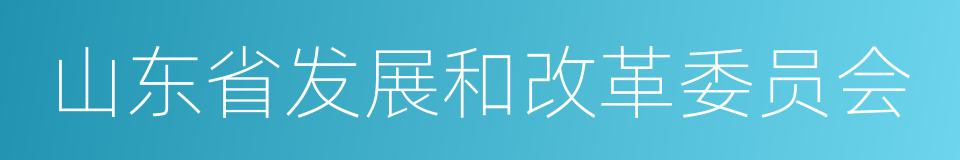 山东省发展和改革委员会的同义词