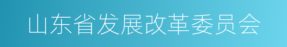 山东省发展改革委员会的同义词