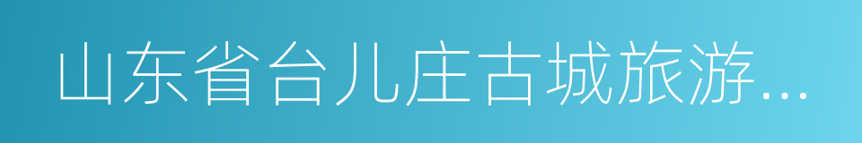 山东省台儿庄古城旅游集团有限公司的同义词