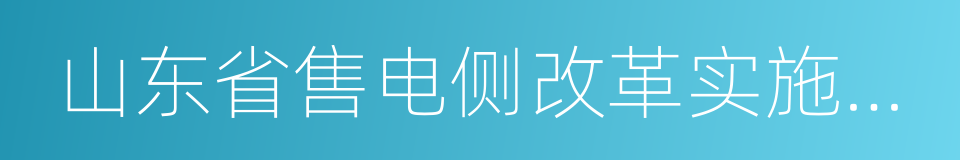 山东省售电侧改革实施方案的同义词