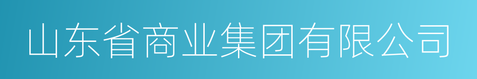 山东省商业集团有限公司的同义词