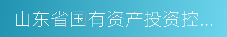 山东省国有资产投资控股有限公司的同义词