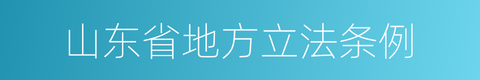 山东省地方立法条例的同义词