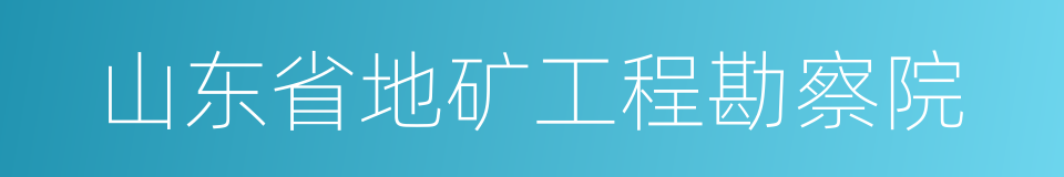 山东省地矿工程勘察院的同义词
