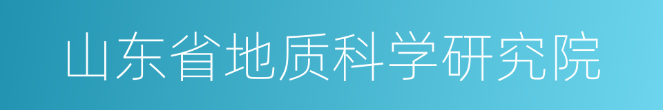山东省地质科学研究院的同义词