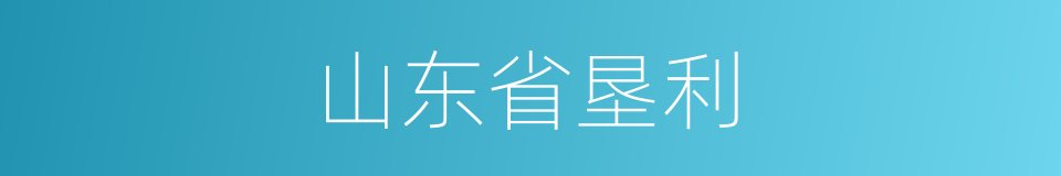 山东省垦利的同义词
