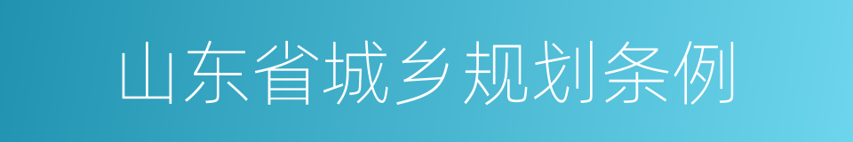 山东省城乡规划条例的同义词