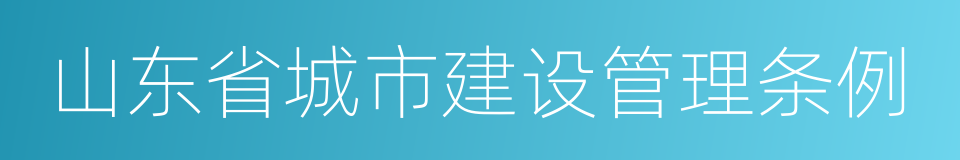 山东省城市建设管理条例的同义词