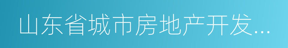 山东省城市房地产开发经营管理条例的同义词