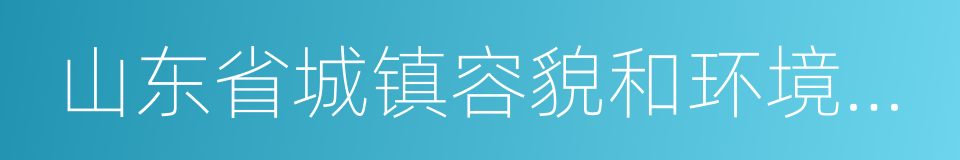 山东省城镇容貌和环境卫生管理办法的同义词