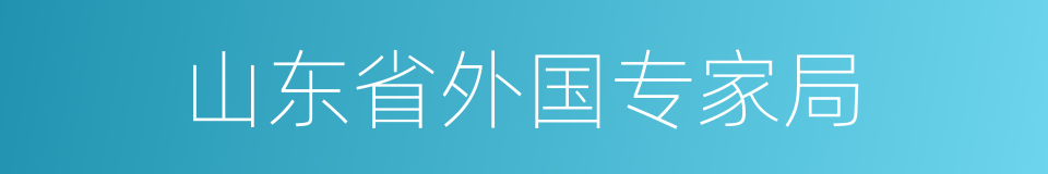 山东省外国专家局的同义词