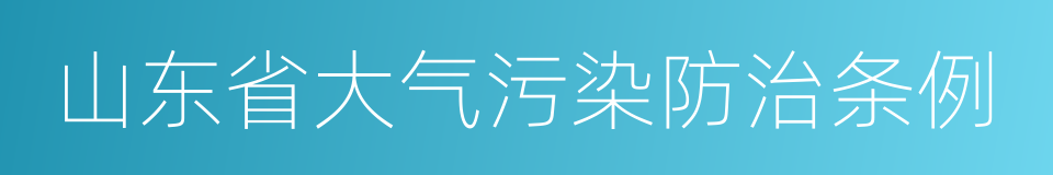 山东省大气污染防治条例的同义词