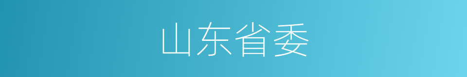 山东省委的同义词