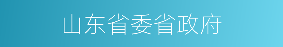 山东省委省政府的同义词