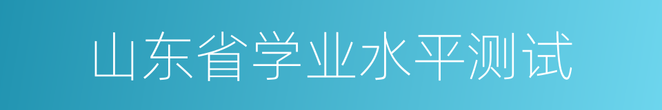 山东省学业水平测试的同义词