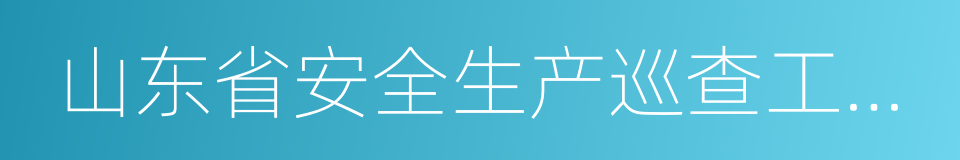 山东省安全生产巡查工作制度的同义词