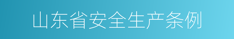 山东省安全生产条例的同义词