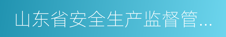 山东省安全生产监督管理局的同义词