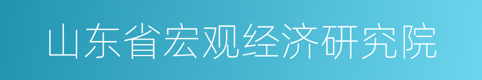 山东省宏观经济研究院的同义词