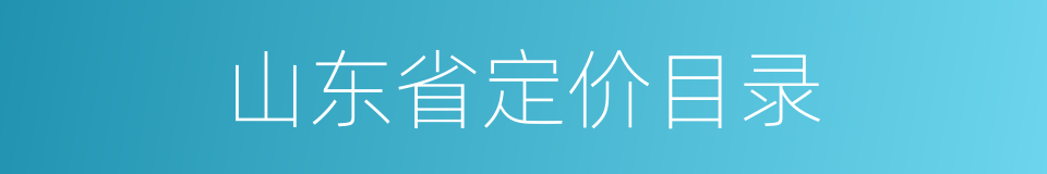 山东省定价目录的同义词