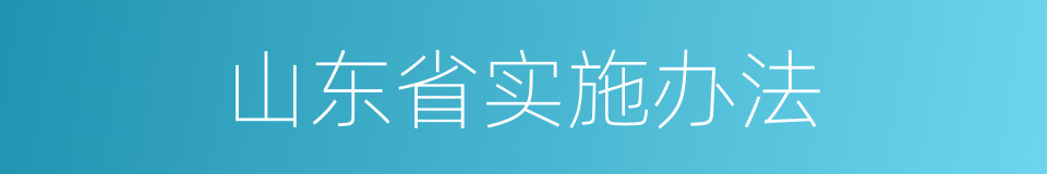 山东省实施办法的同义词