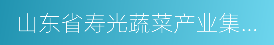 山东省寿光蔬菜产业集团有限公司的同义词