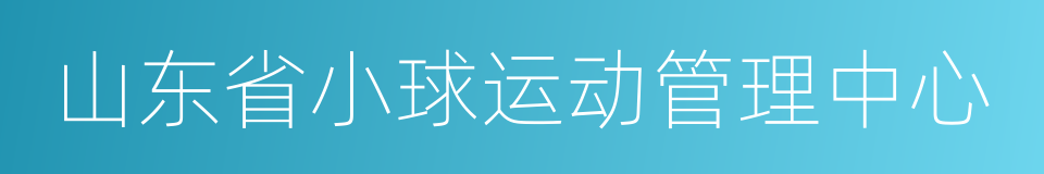 山东省小球运动管理中心的同义词