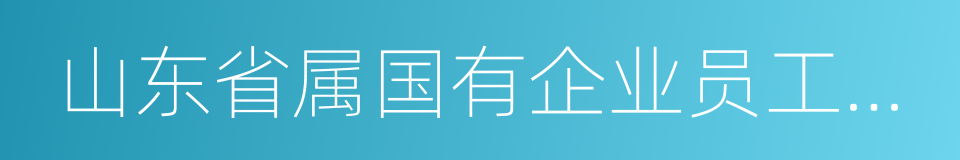 山东省属国有企业员工持股试点工作实施细则的同义词