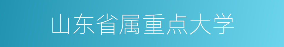 山东省属重点大学的同义词
