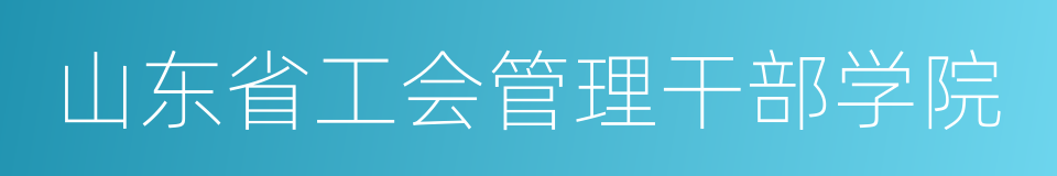 山东省工会管理干部学院的同义词