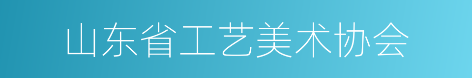 山东省工艺美术协会的同义词