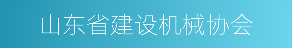 山东省建设机械协会的同义词