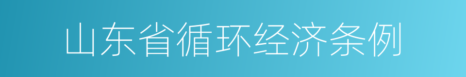 山东省循环经济条例的同义词