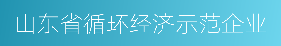 山东省循环经济示范企业的同义词