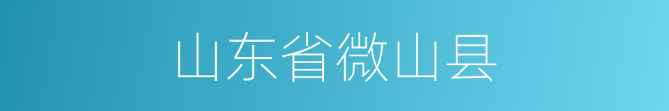 山东省微山县的同义词