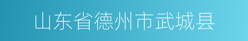 山东省德州市武城县的同义词