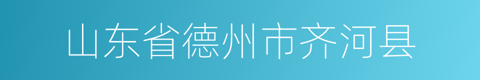 山东省德州市齐河县的同义词