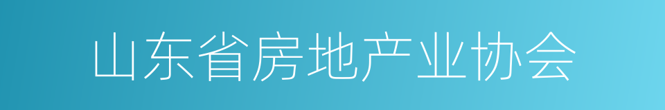 山东省房地产业协会的同义词